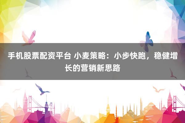 手机股票配资平台 小麦策略：小步快跑，稳健增长的营销新思路