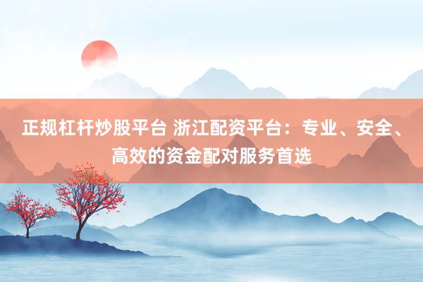 正规杠杆炒股平台 浙江配资平台：专业、安全、高效的资金配对服务首选