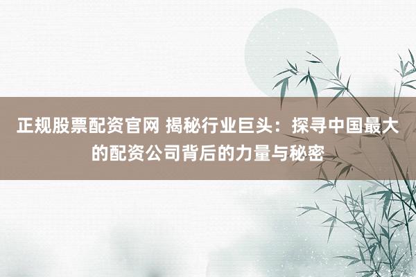 正规股票配资官网 揭秘行业巨头：探寻中国最大的配资公司背后的力量与秘密