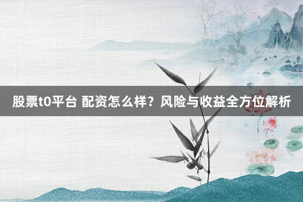 股票t0平台 配资怎么样？风险与收益全方位解析