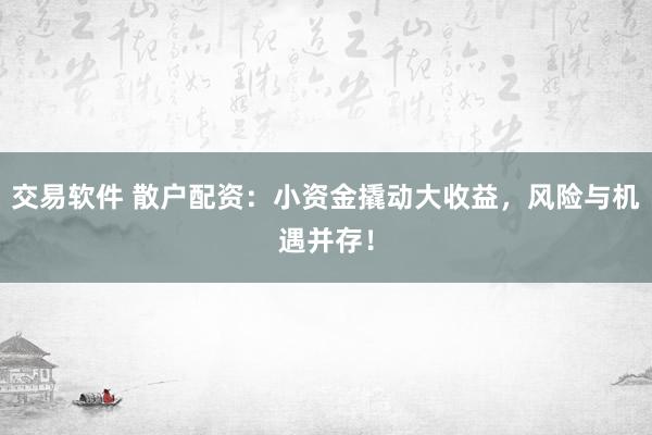 交易软件 散户配资：小资金撬动大收益，风险与机遇并存！