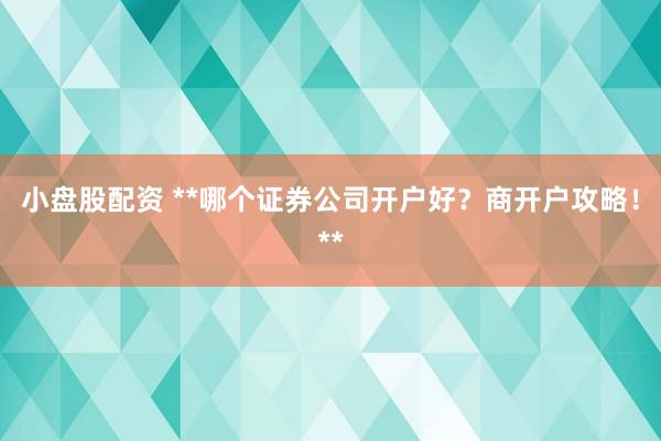 小盘股配资 **哪个证券公司开户好？商开户攻略！**