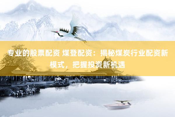 专业的股票配资 煤登配资：揭秘煤炭行业配资新模式，把握投资新机遇