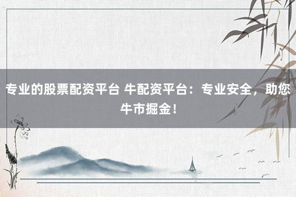 专业的股票配资平台 牛配资平台:专业安全,助您牛市掘金!