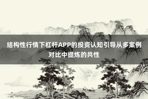 结构性行情下杠杆APP的投资认知引导从多案例对比中提炼的共性