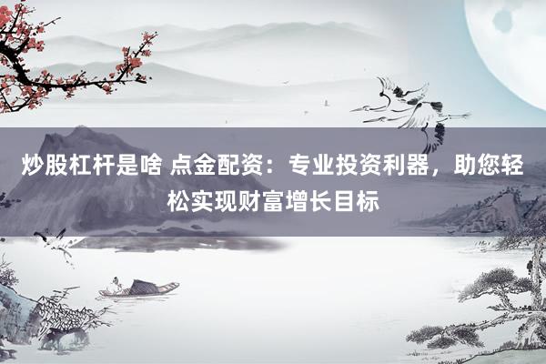 炒股杠杆是啥 点金配资：专业投资利器，助您轻松实现财富增长目标
