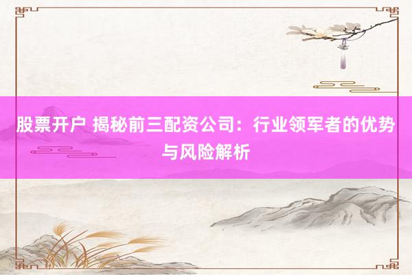 股票开户 揭秘前三配资公司:行业领军者的优势与风险解析