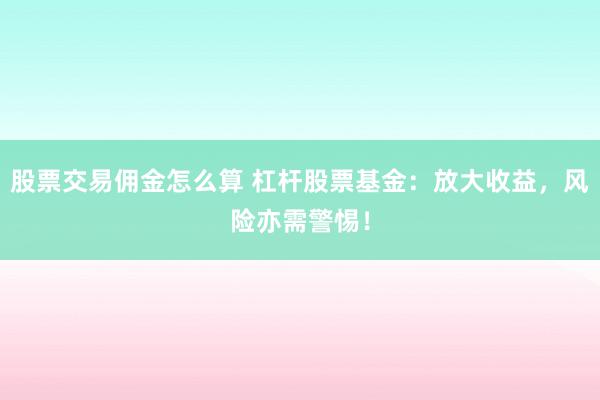 股票交易佣金怎么算 杠杆股票基金:放大收益,风险亦需警惕!